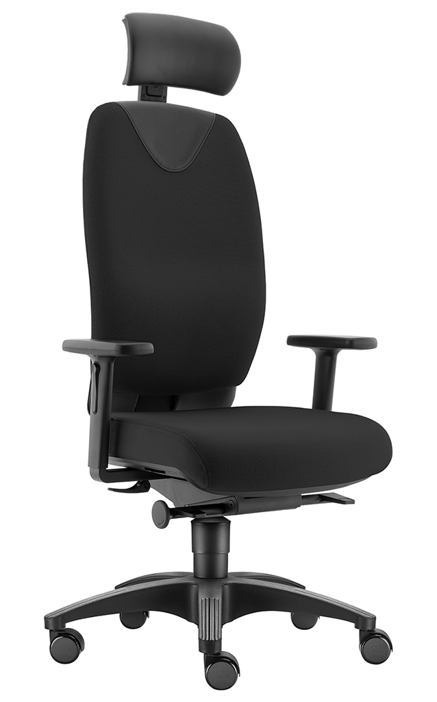 Evo L mit Kopfstütze Evo L mit Kopfstütze