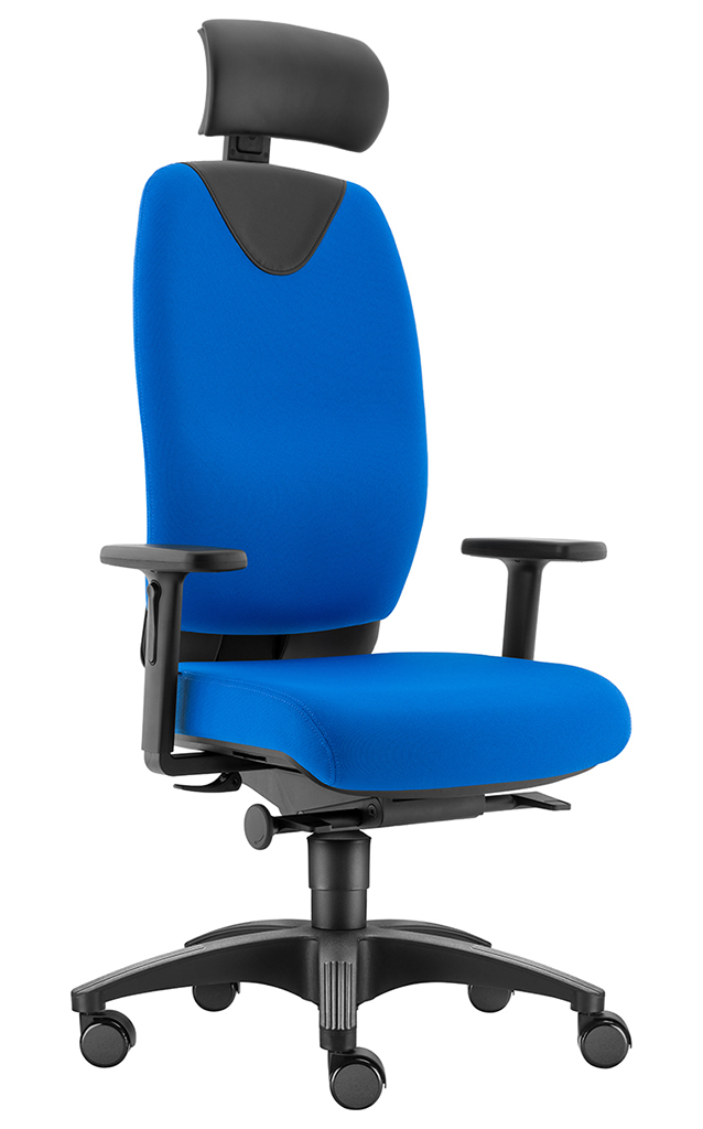 Evo L mit Kopfstütze Evo L mit Kopfstütze