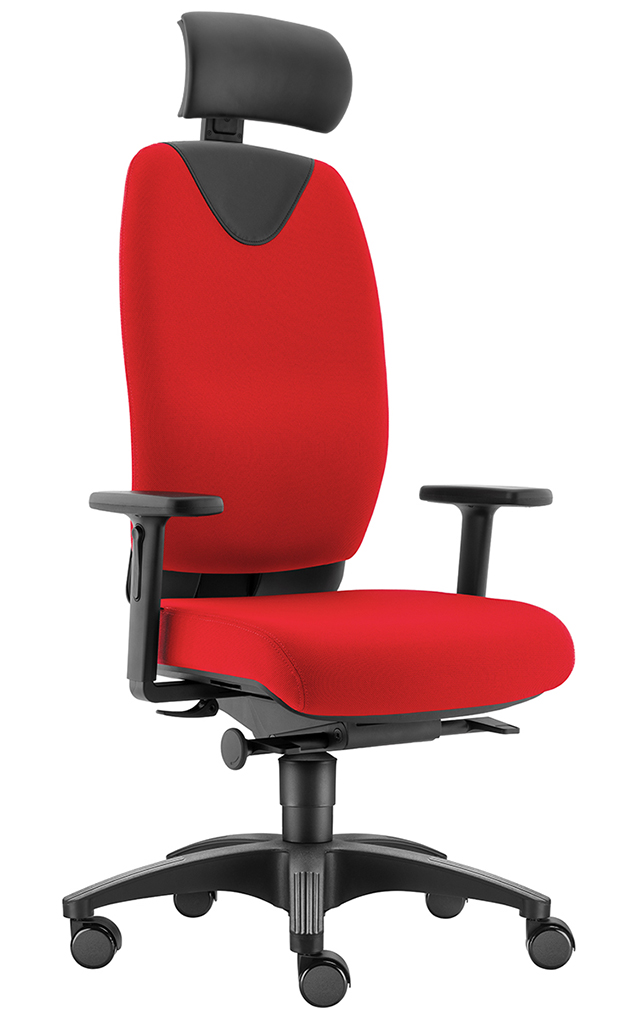 Evo L mit Kopfstütze Evo L mit Kopfstütze